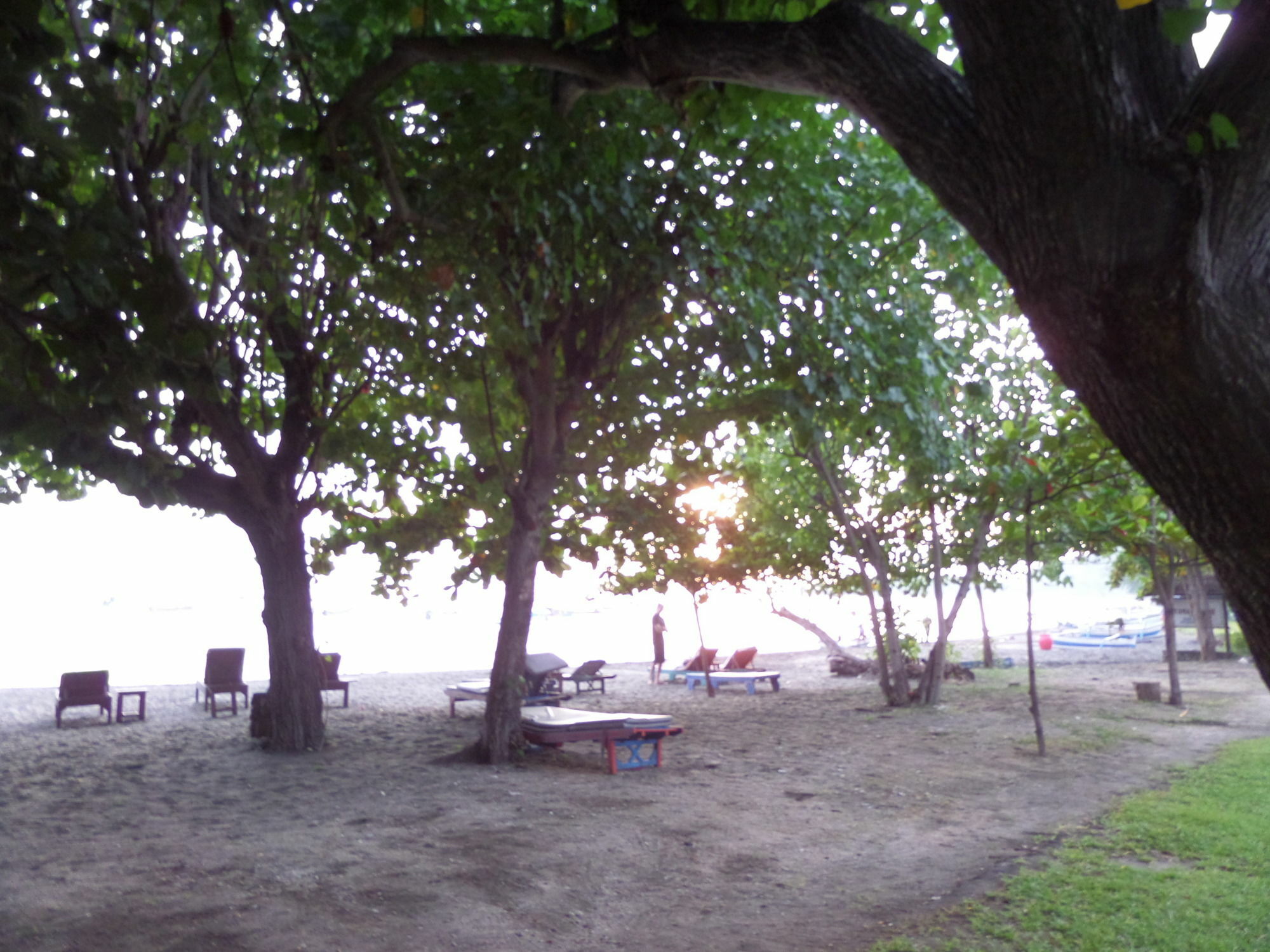 Taman Selini Wahana Beach Resort Pemuteran  Ngoại thất bức ảnh