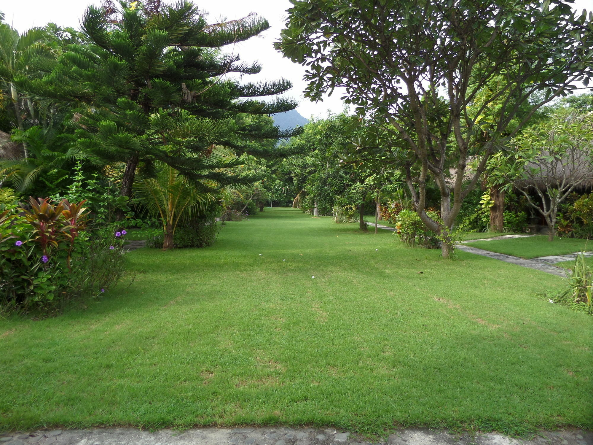 Taman Selini Wahana Beach Resort Pemuteran  Ngoại thất bức ảnh