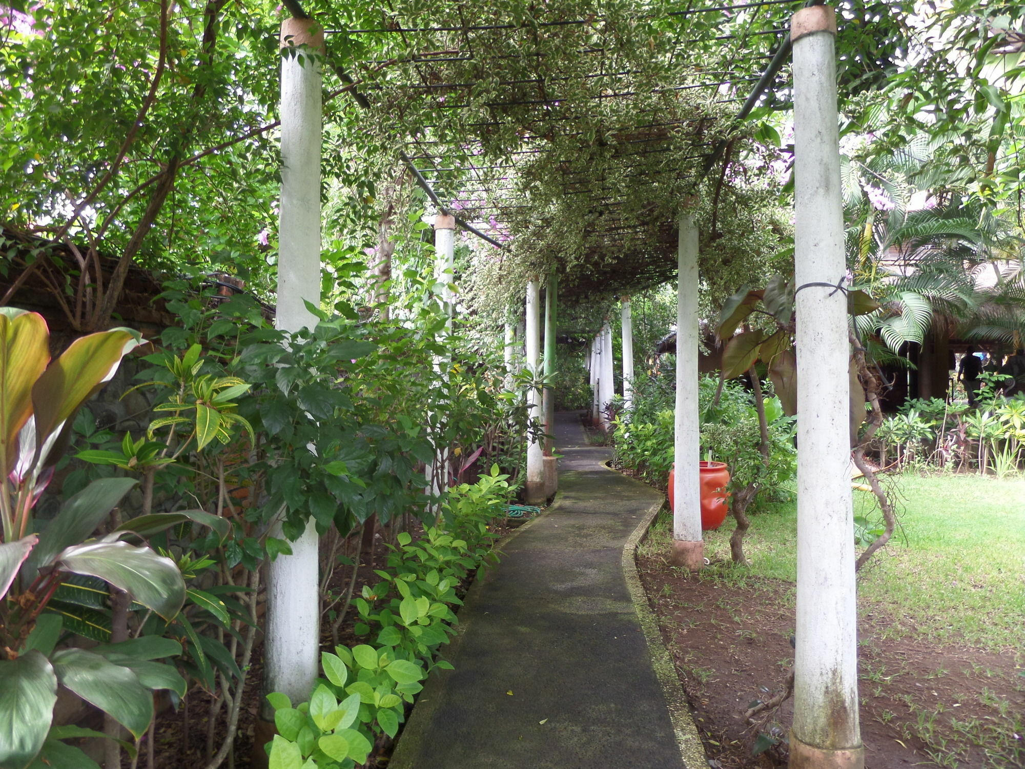 Taman Selini Wahana Beach Resort Pemuteran  Ngoại thất bức ảnh